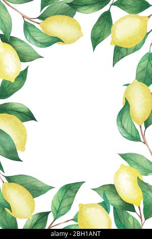 Schöne Aquarell Einladung auf weißem Hintergrund. Rahmen von Zitronen und grünen Zweigen, Blätter Stockfoto