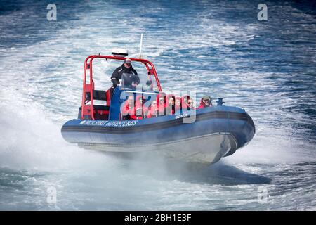 Speedboat durch den Ozean in Victoria, Kanada Stockfoto