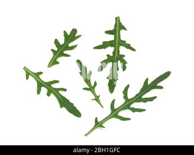 Frische Rucola Blätter, Draufsicht isoliert auf weißem Hintergrund Stockfoto
