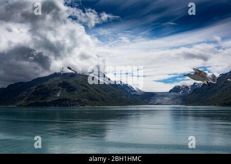 Alaskan Gletscher und Berge in der Wildnis Alaskas Stockfoto