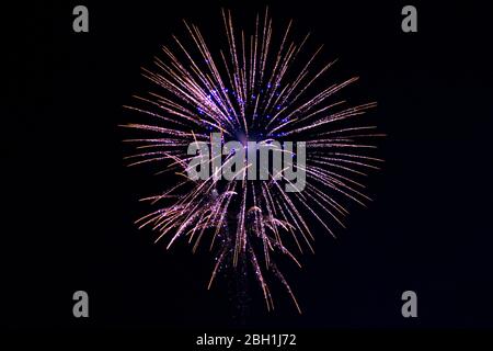 Das Feuerwerk in der Nacht. Frohes Neues Jahr Stockfoto