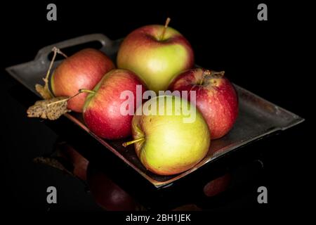 Gruppe von fünf ganzen frischen Garten Apfel auf Tablett isoliert auf schwarzem Glas Stockfoto