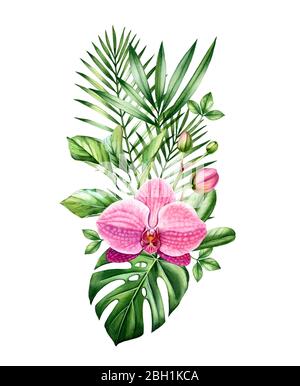 Aquarell Orchidee Bouquet. Große rosa Blume und Palmblätter in vertikaler Anordnung. Handgemalter tropischer Hintergrund. Botanische Illustrationen isoliert Stockfoto