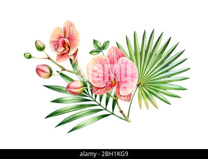 Aquarell Orchidee Bouquet. Florale Komposition mit großen roten Blüten und fächerpalmenblättern. Bunte exotische Pflanzen auf Weiß isoliert. Handgezeichnet Stockfoto