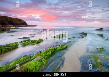 Die Abendsonne verwandelt die Wolken in rosa Farben, Cornwall Stockfoto