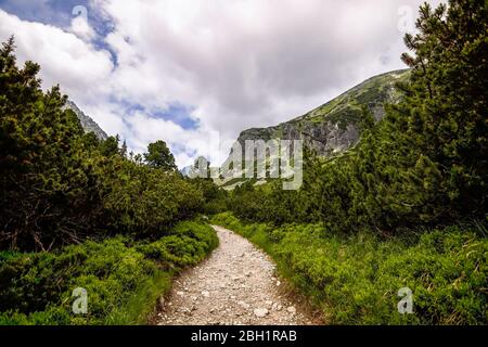 Blick auf die Natur der Tatra. Slowakei Stockfoto