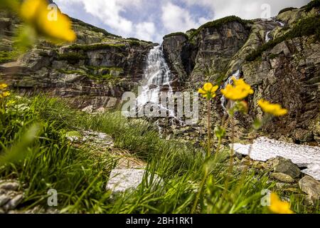 Wasserfall mit Blumen in der Hohen Tatra. Slowakei berühmter Ort Stockfoto