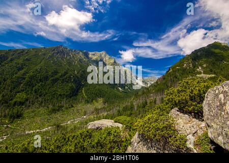 Hohe tatra - Berge in der Slowakei. Grüne Sommerlandschaft Stockfoto