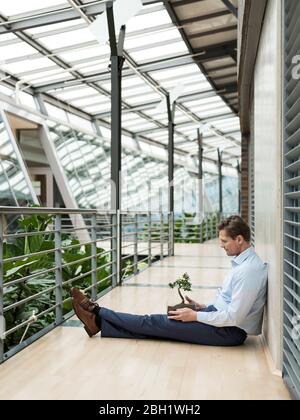 Geschäftsmann im grünen Atrium, sitzt auf der Galerie, mit Bonsai auf dem Schoß Stockfoto