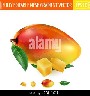 Reife Mango mit grünen Blättern und zwei Würfeln Fruchtfleisch. Stock Vektor