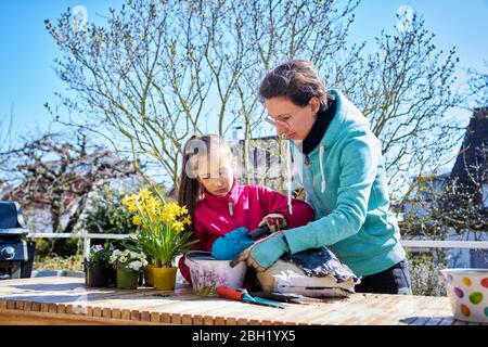 Mutter und Tochter Blumen Pflanzen zusammen auf dem Balkon Stockfoto