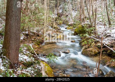 Bachwasser fließt in dieser Waldwinterszene aus Central Appalachia, USA Stockfoto