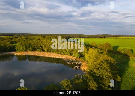 Deutschland, Brandenburg, Drohne Blick auf das baumgesägte Seeufer Stockfoto