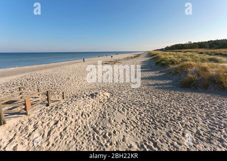 Deutschland, Mecklenburg-Vorpommern, Prerow, Sandstrand an der Ostsee Stockfoto