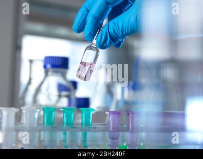 Hand des Wissenschaftlers trägt Schutzhandschuh Abholung Impfstofffläschchen im Labor Stockfoto