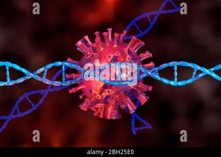 3D-Darstellung eines Corona-Virus mit seiner DNA Stockfoto