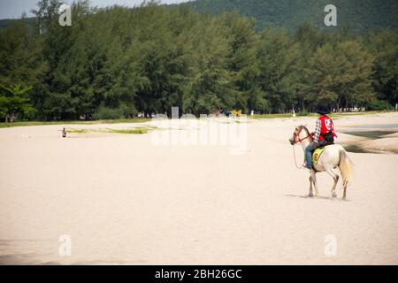 SONGKHLA, THAILAND - AUGUST 17 : Thailänder Cowboy Reiten Pferd am Strand warten Ausländer Reisende nutzen Service Reiten Pferd Spaziergang Tour am Samila Beach Stockfoto