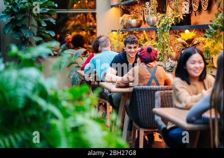 Freunde, die in einem Restaurant trinken, reden Stockfoto