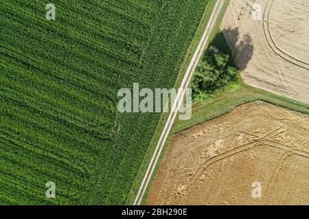 Deutschland, Bayern, Drohne Blick auf Feldweg durch Felder im Sommer Stockfoto