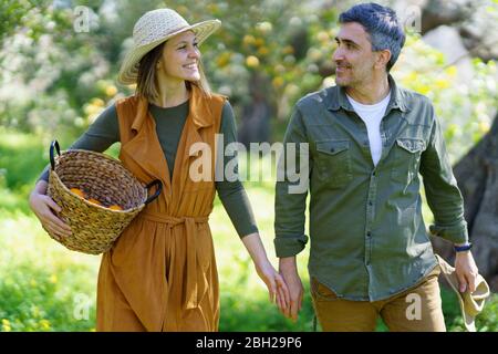 Paar zu Fuß mit Korb, um Orangen auf dem Feld zu pflücken Stockfoto