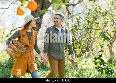 Ein Paar mit einem Korb, der durch eine Orangenplantage läuft Stockfoto