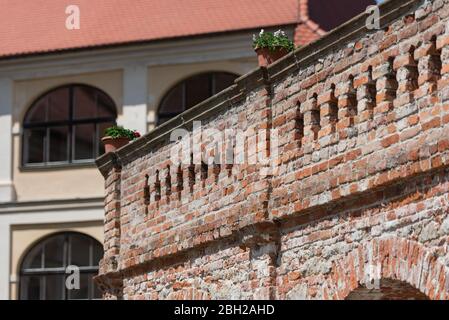 Die Burg Veveri befindet sich in der Tschechischen Republik. Die innere Mauer des Schlosses, mit zerbrotem Ziegelstein und Blumen. Stockfoto