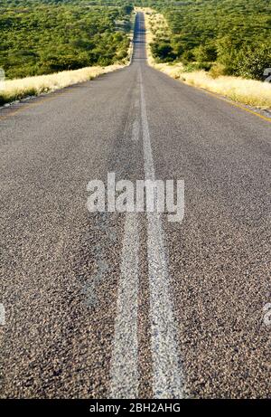 Namibia, Tarmac Straße durch Savanne schneiden Stockfoto