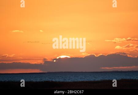 Deutschland, Mecklenburg-Vorpommern, Moody Sonnenuntergang über der Ostsee Stockfoto