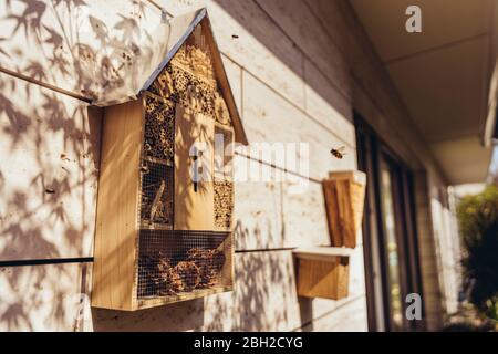 Insektenhotel wird von Bienen besucht Stockfoto