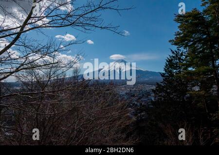 Die Wolke auf der Spitze von Fuji mit den Kiefern im Vordergrund Stockfoto