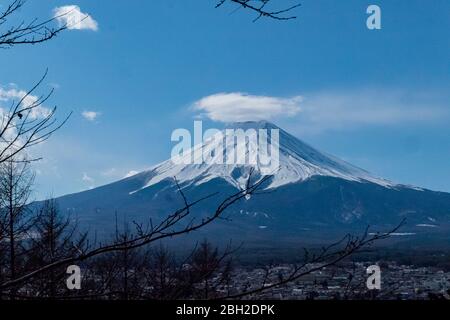 Die Wolke auf der Spitze von Fuji mit den Kiefern im Vordergrund Stockfoto