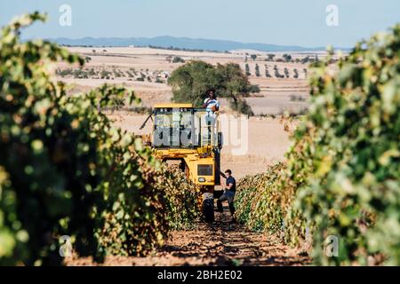 Weinlese Maschine und junge Winzer während der Weinlese, Cuenca, Spanien Stockfoto