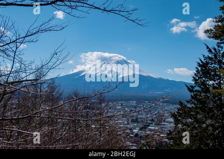 Die Wolke auf der Spitze von Fuji mit den Kiefern im Vordergrund Stockfoto