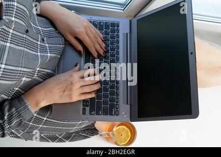 Eine junge Frau sitzt auf der Fensterbank mit einem Laptop auf den Knien und arbeitet. In der Nähe einer Tasse Tee mit Zitrone. Arbeiten Sie zu Hause. Draufsicht Stockfoto