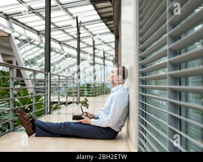 Geschäftsmann im grünen Atrium, sitzt auf der Galerie, mit Bonsai auf dem Schoß Stockfoto