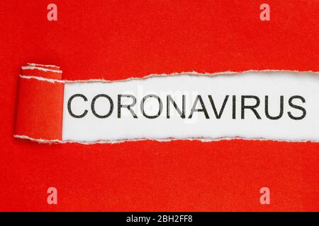 Draufsicht auf rot zerrissenes Papier und den Text CORONAVIRUS auf weißem Hintergrund. Gesundheitskonzept und medizinisches Konzept. Stockfoto