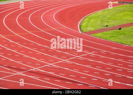 Der Parliament Hill Fields Athletics Track in London, Allwetter-Laufstrecke für den Hintergrund Stockfoto