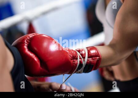 Nahaufnahme des Trainers, der die Boxhandschuhe auf einen Boxer legt Stockfoto