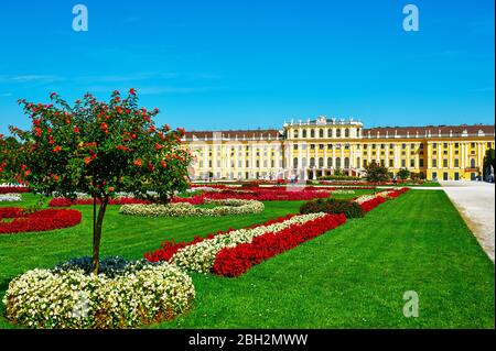Besuch von Schloss Schönbrunn in Wien Stockfoto