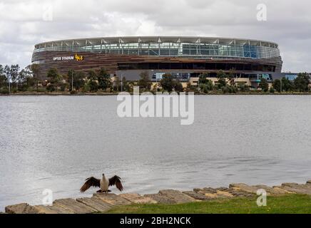 Seabird Australasian Darter trocknet seine Flügel neben Swan River und Optus Stadium Perth Western Australia. Stockfoto