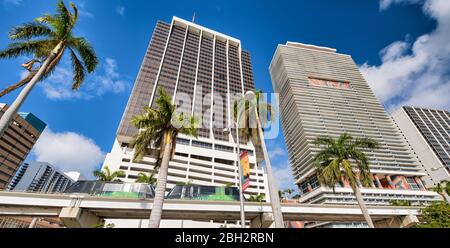 Gebäude und Monorail von Downtown Miami mit Palmen an einem sonnigen Tag. Himmel mit Wolken, Florida Stockfoto