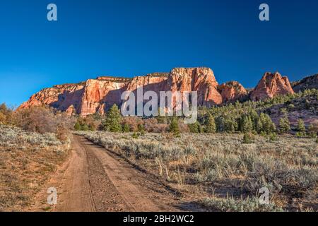 Dirt Track to Jobs Head Massif, Upper Kolob Plateau, Kolob Terrace Road Area, Zion National Park, Utah, USA Stockfoto