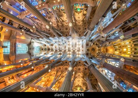 Decke in der Kathedrale Sagrada Familia von Antoni Gaudi, Barcelona Stockfoto