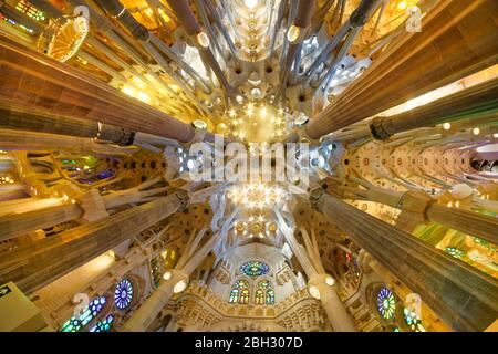 Decke in der Kathedrale Sagrada Familia von Antoni Gaudi, Barcelona Stockfoto