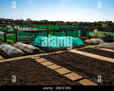 Sehr gepflegte Schottungen in Marske am Meer North Yorkshire Dorf im frühen Frühjahr Stockfoto