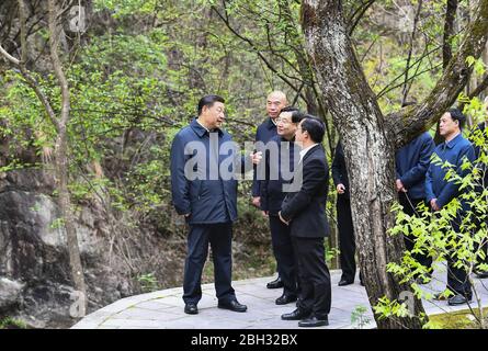 (200423) -- XI'AN, 23. April 2020 (Xinhua) -- der chinesische Präsident Xi Jinping, auch Generalsekretär des Zentralkomitees der Kommunistischen Partei Chinas und Vorsitzender der Zentralen Militärkommission, erfährt vom 20. April 2020 über den ökologischen Schutz der Qinling-Berge im Nationalen Naturreservat Niubeiiliang, nordwestlich der Provinz Shaanxi. XI machte von April 20 bis April 23 eine Inspektionsreise in der nordwestlichen Provinz Shaanxi. (Xinhua/Xie Huanchi) Stockfoto