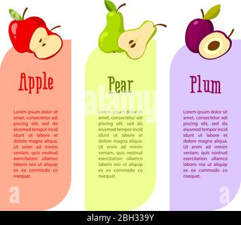 Karten mit Platz für Ihren Text. Früchte Vorteile. Roter Apfel, Birne und Pflaume. Vektorgrafik Stock Vektor
