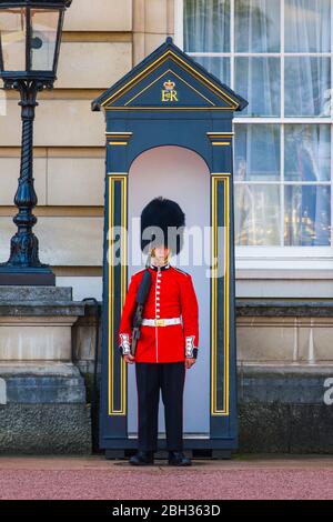 Fußwächter Buckingham Palace London England Grossbritannien Hauptstadt Themse Grossbritannien Europa EU Stockfoto
