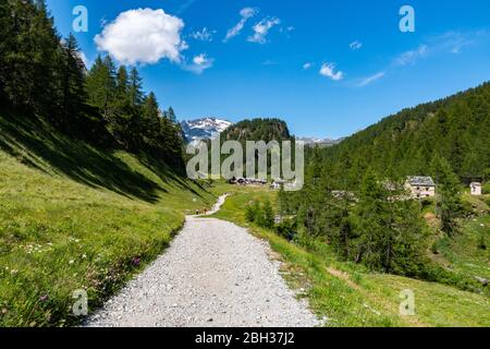 Bergpanoramen auf der Alpe Devero, Baceno, Lepontine Alpen, Ossola, Piemont, Italien Stockfoto