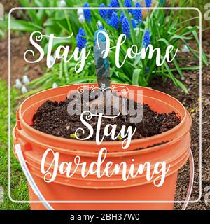 Stay Home, Stay Gardening Zitat. Gartenarbeit während Sie zu Hause in der Isolation. Stockfoto